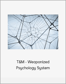 T&M - Weaponized Psychology System