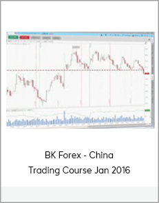 BK Forex - China Trading Course Jan 2016