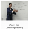 Waysun Liao - Condensing Breathing