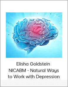 Elisha Goldstein - NICABM - Natural Ways to Work with Depression