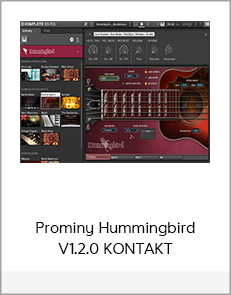 Prominy Hummingbird V1.2.0 KONTAKT