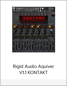 Rigid Audio Aquiver V1.1 KONTAKT